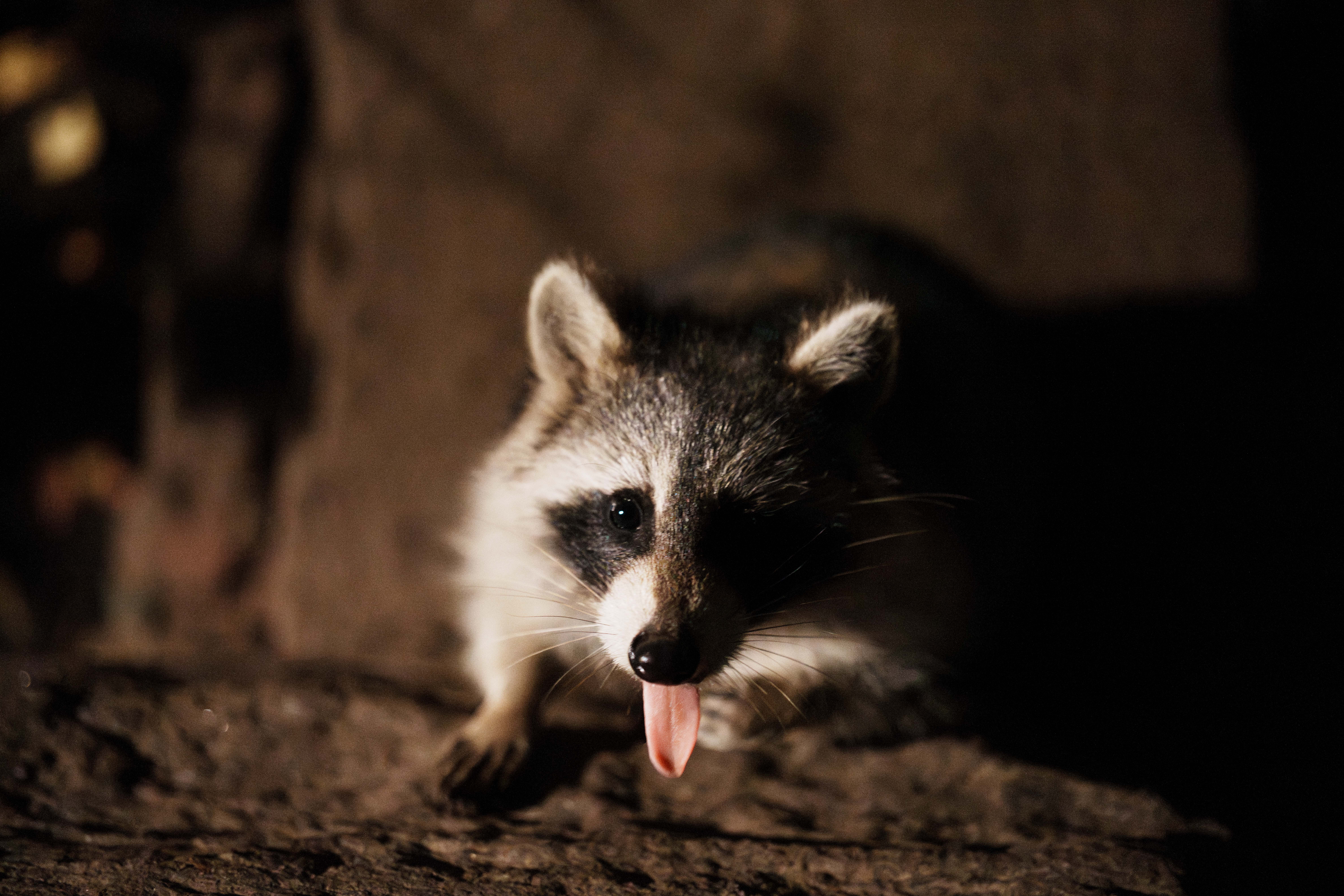 Pweeease, Hudson Bank